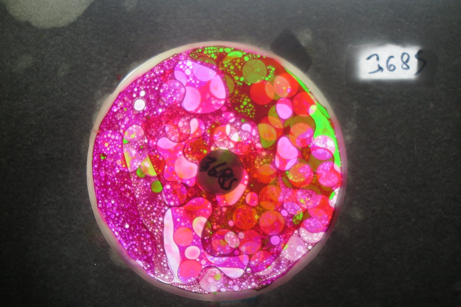 BV3683 bubble vision oil wheel